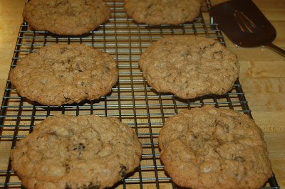 Giant Oatmeal Chocolate Chip Cookies