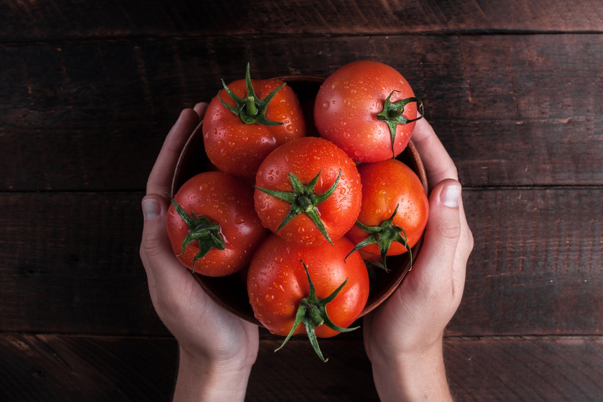 Fresh tomatoes shown in a wood bowl with hands holding it. Medium sized tomatoes for making stuffed tomatoes.