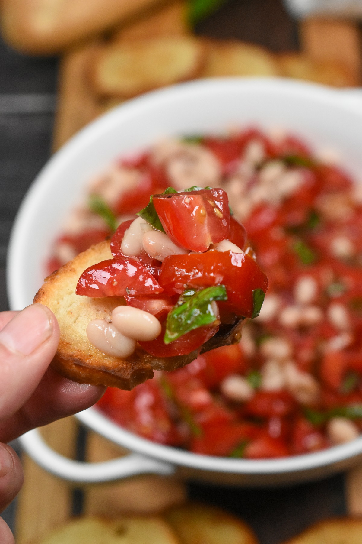 White Bean and Tomato Bruschetta. White Bean Dip with tomatoes. Shown small white beans with chopped tomatoes and ribbons of fresh basil in a white dish tossed with seasoned garlic oil. A crostini  held above bowl with white bean and tomato dip on it.