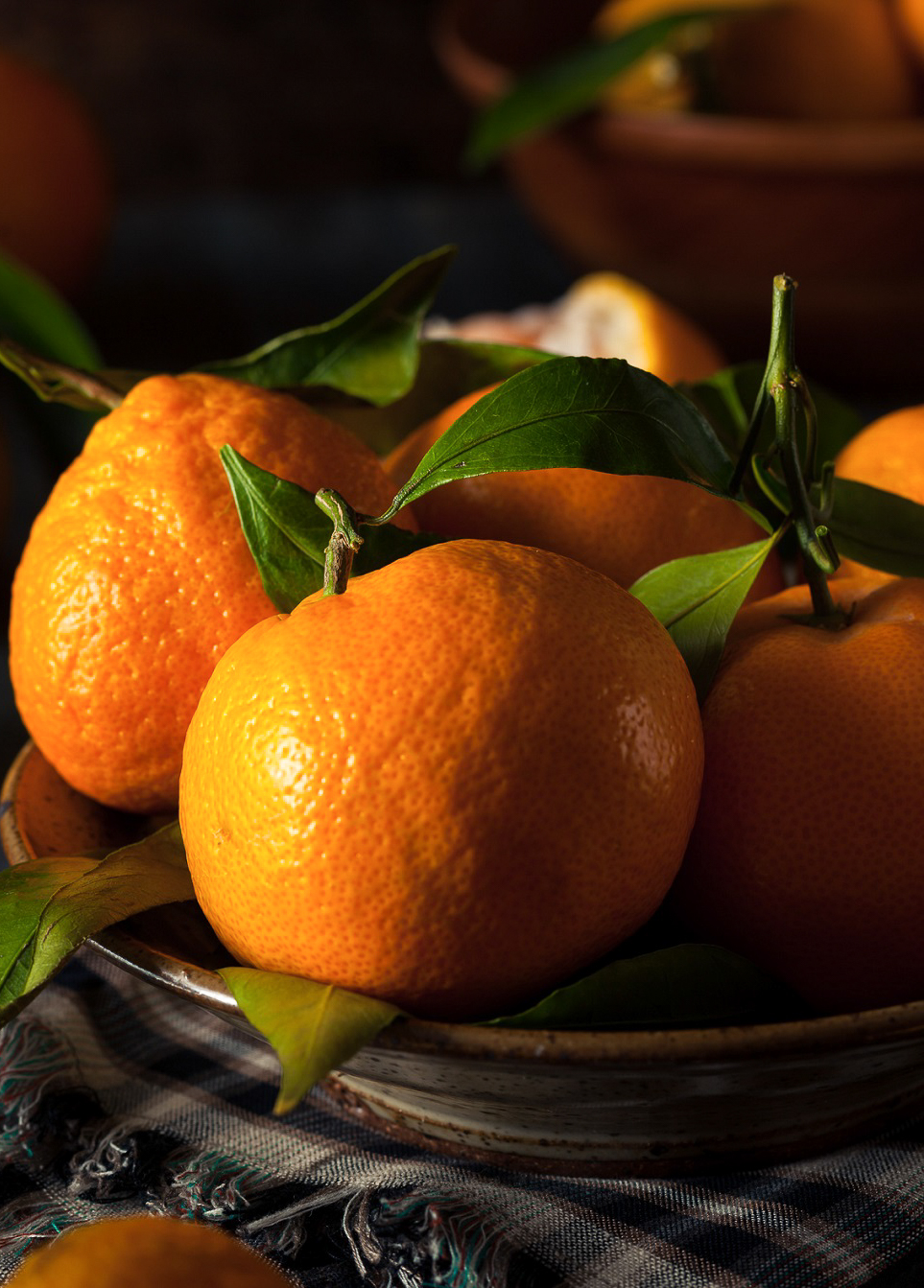 Fresh satsumas in a bowl with stems and leaves.