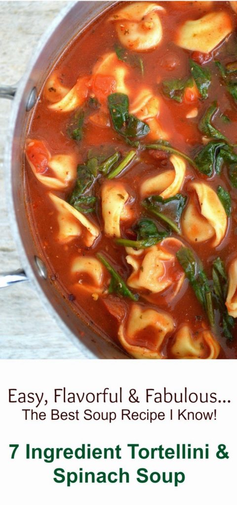 The Best & Easiest Spinach & Tortellini Soup Recipe