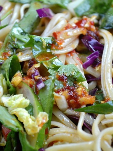 Asian Noodle Salad With Grilled Chicken
