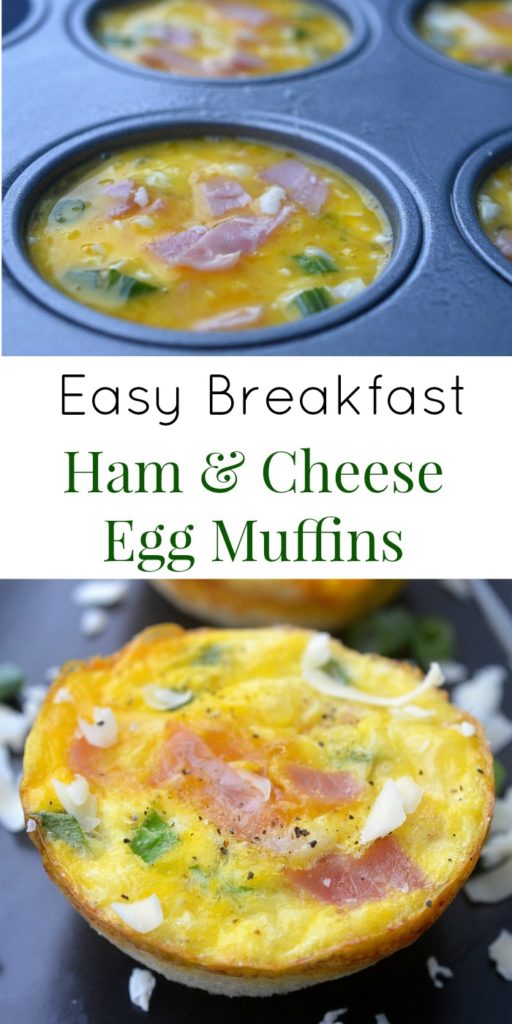 Easy Breakfast Recipe Ham & Cheese Egg Muffins