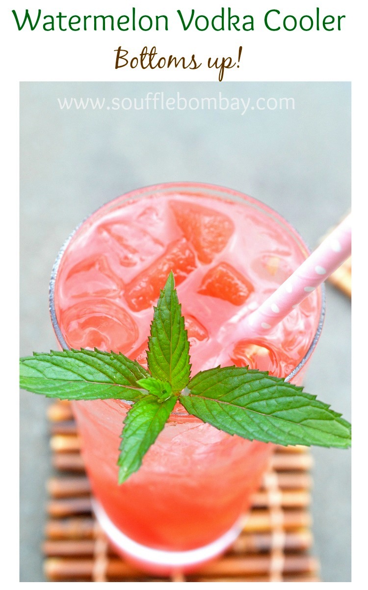 Watermelon Vodka Cocktail recipe in a glass garnished with mint Vodka watermelon cocktail 