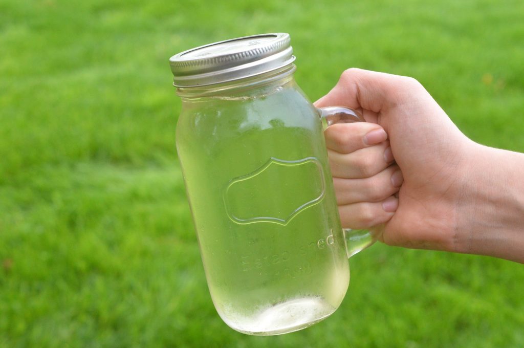 Homemade Low Carb Lime Vodka Coolers