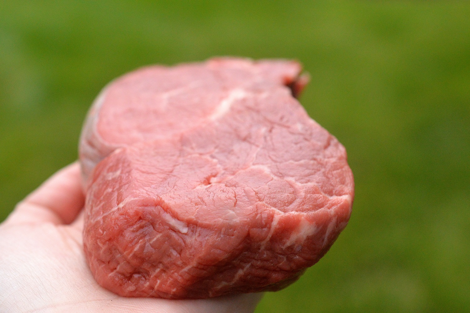 Fillet Mignon Steak raw for making Asian Salad