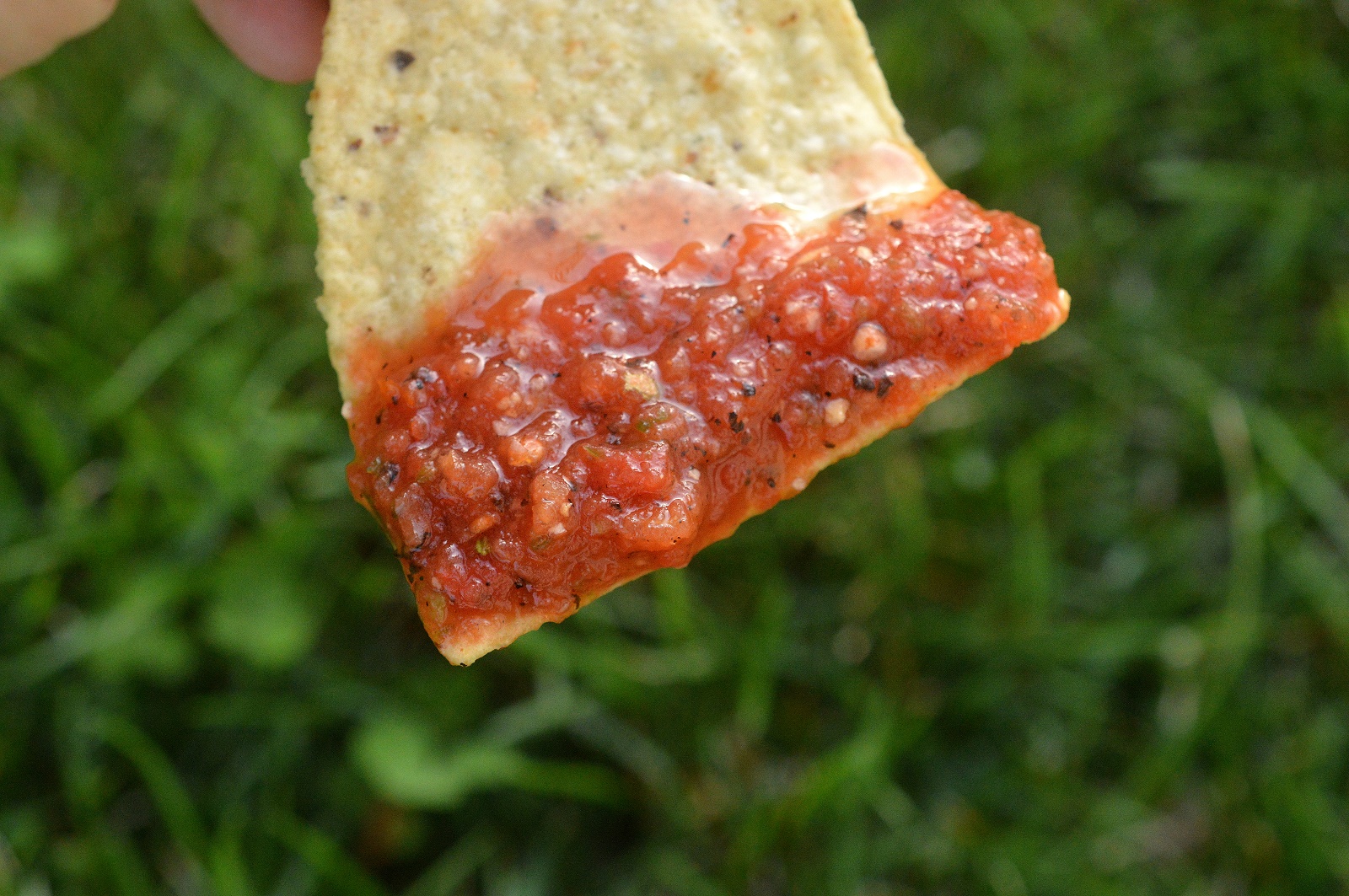 Spicy Blender Salsa (Ready in 10 Minutes an Freezer Friendly)