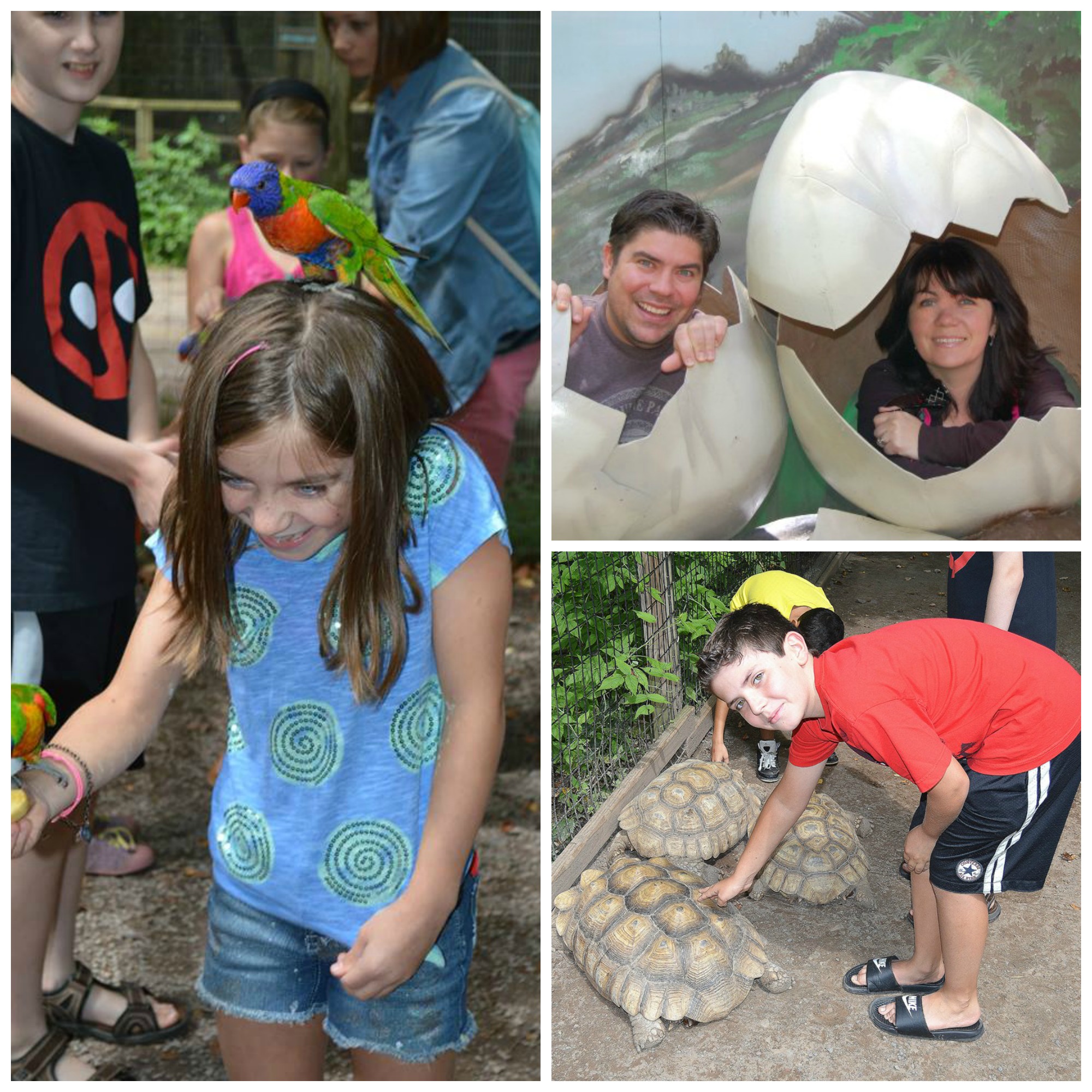 Claws and Paws Zoo in the PA Poconos