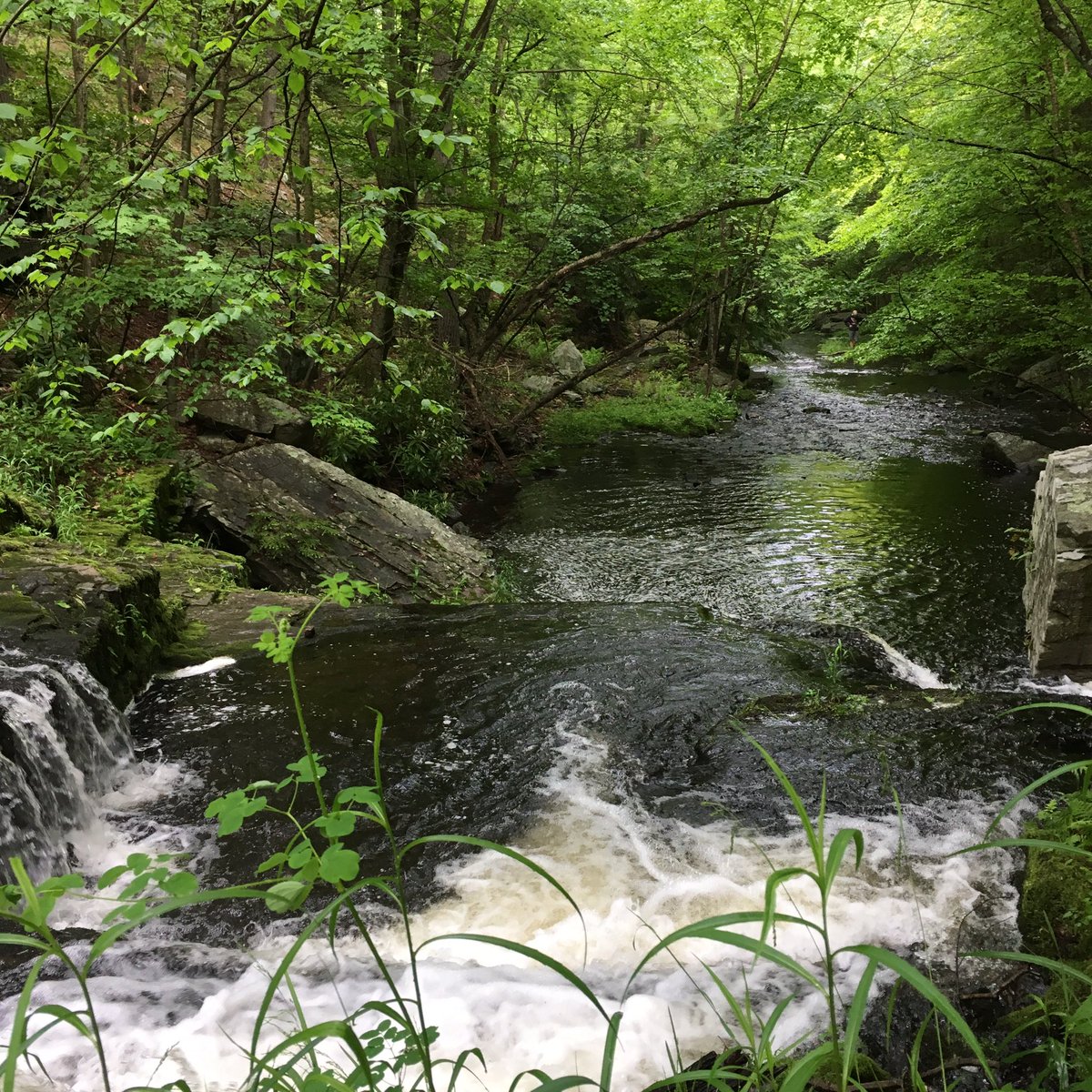 Hiking Trail Skytop Lodge PA Poconos 