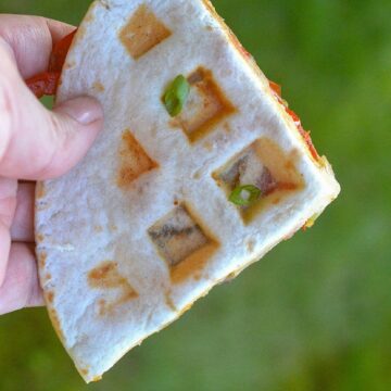 Waffle Maker Steak Quesadillas. Shown one piece being held outside over grass.