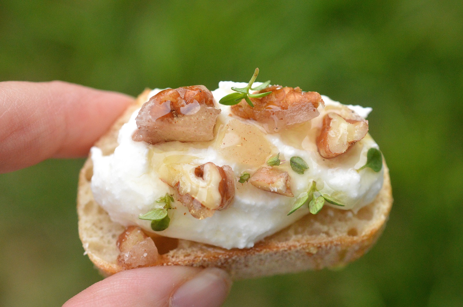 Whipped Ricotta Crostini's are sophisticated, scrumptious and make a fantastic addition to a cheese or charcuterie board or dessert!