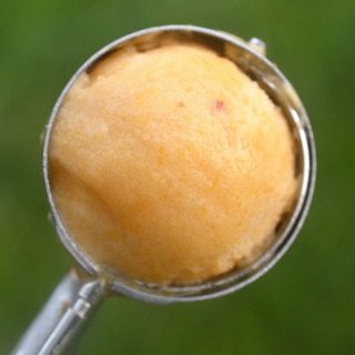Recipe for Oprah's Fresh Peach Sorbet - Light, fresh and so refreshing!