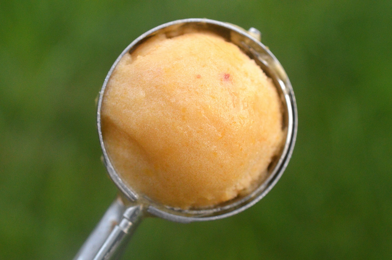 Recipe for Oprah's Fresh Peach Sorbet - Light, fresh and so refreshing!