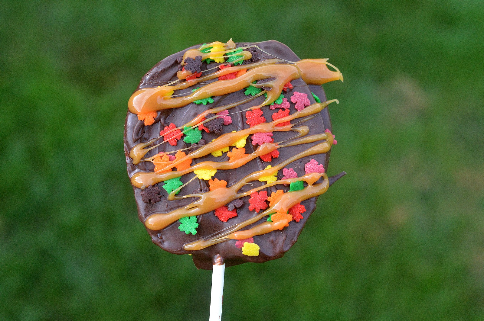 Chocolate covered Apples Slices recipe. A Fall treat! Candy apples recipe