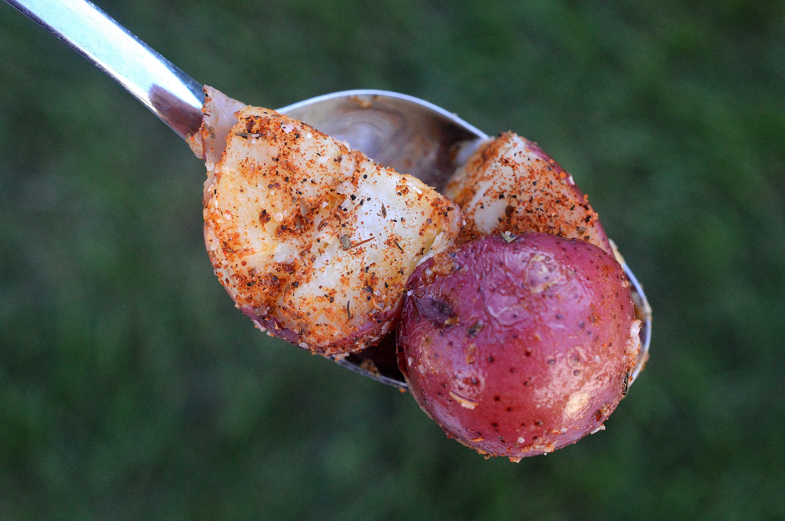 Spiced Red Potatoes made in under 10 minutes with the help of Side Delights Steamables