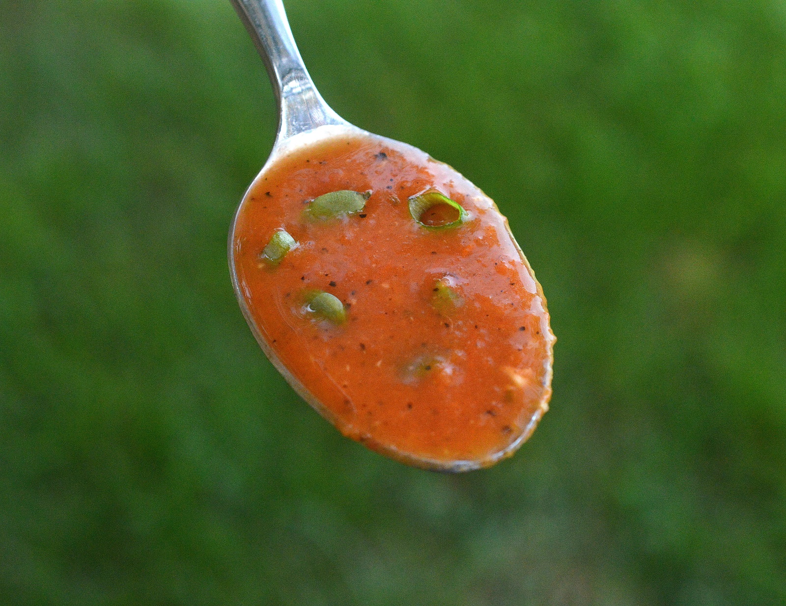 Tomato Detox Soup recipe