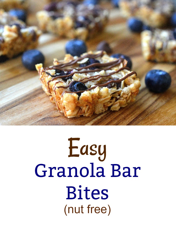 Easy Granola Bar Bites with Dried Blueberries and Chocolate (customize them as you wish) Nut free