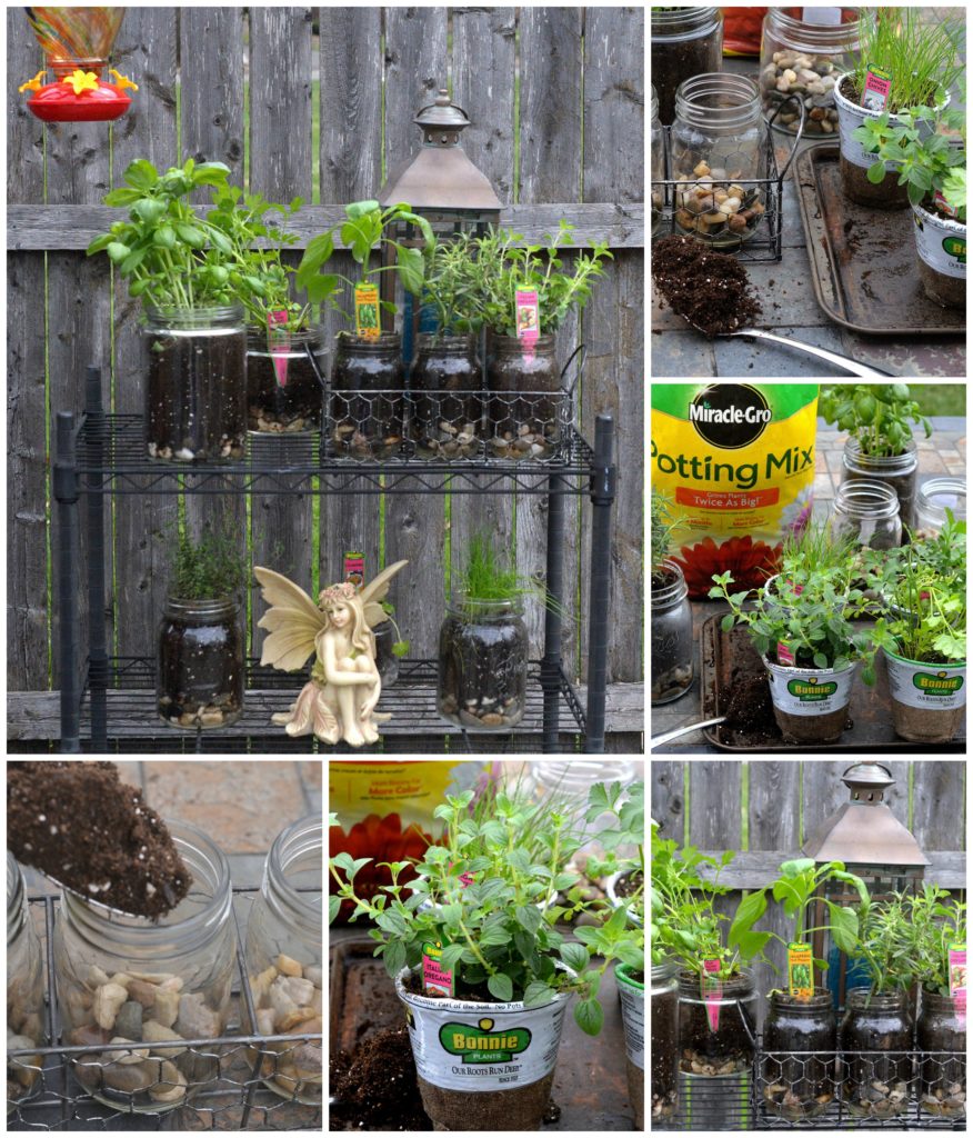 Easy Indoor/Outdoor Glass Jar Garden