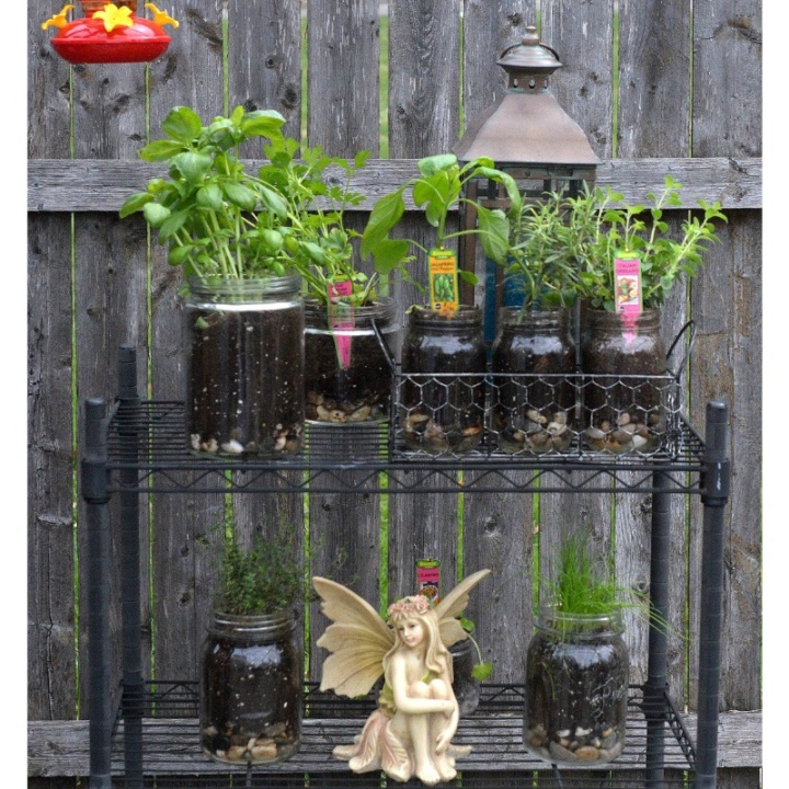 Easy Indoor/Outdoor Glass Jar Garden