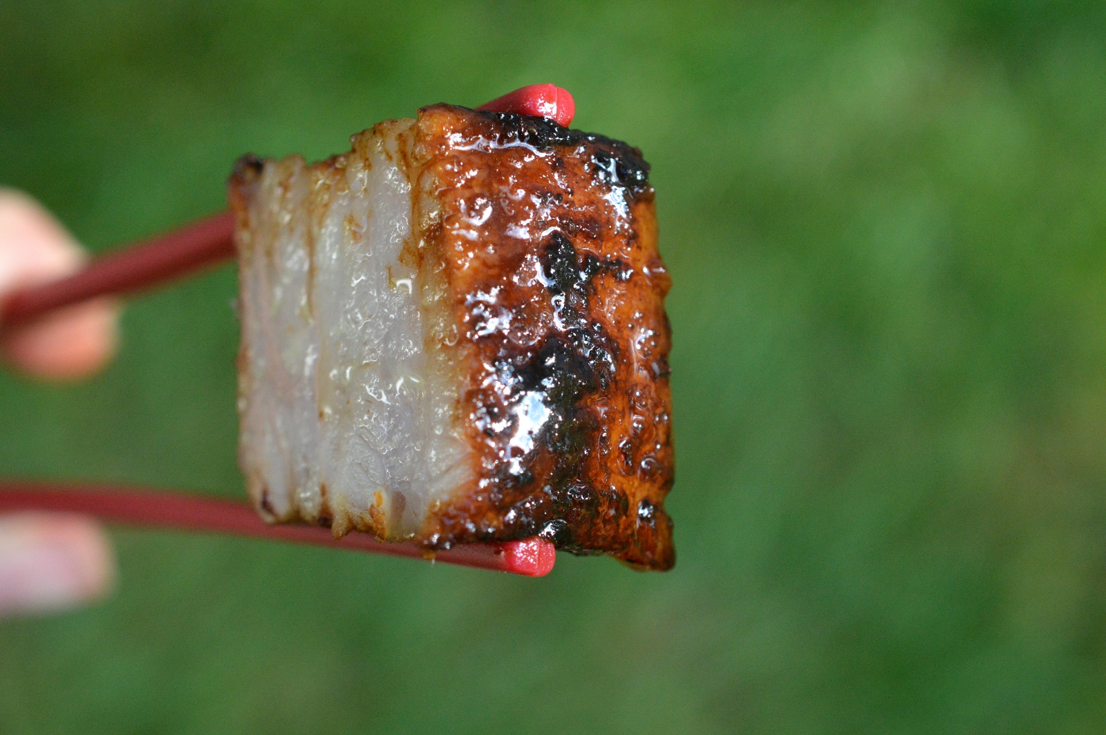 Sous Vide Asian Pork Belly Shown sliced open being held with red chopsticks