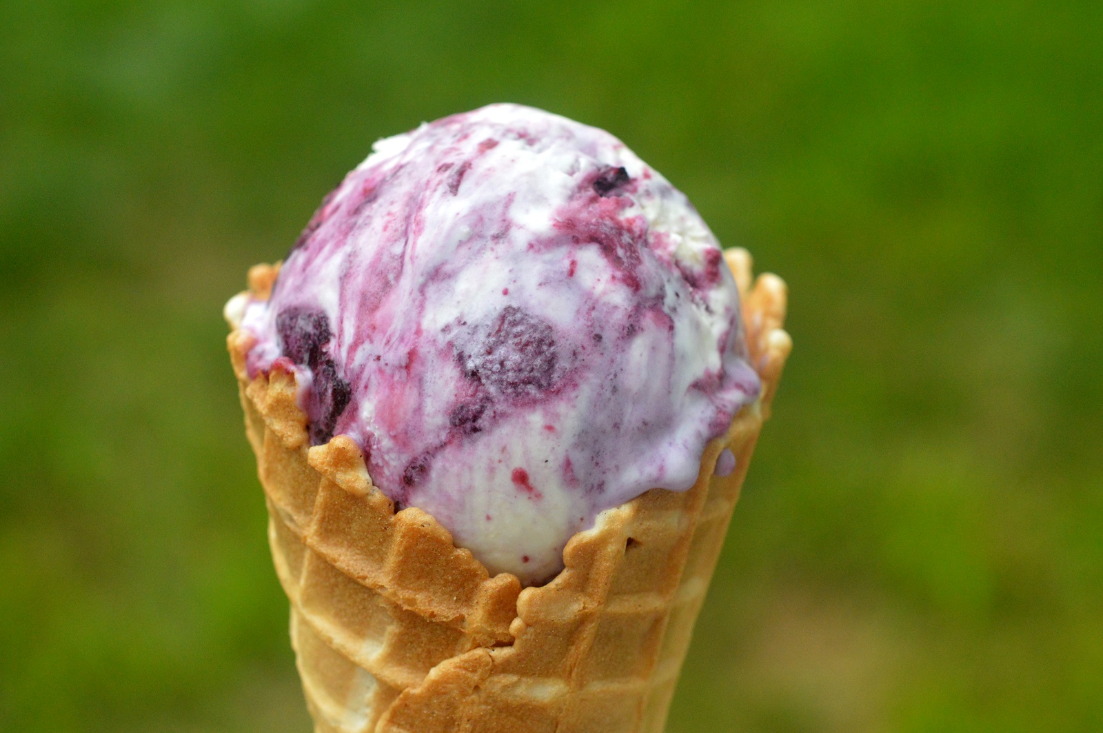 Easy No-Churn Blueberry Cheesecake Ice Cream