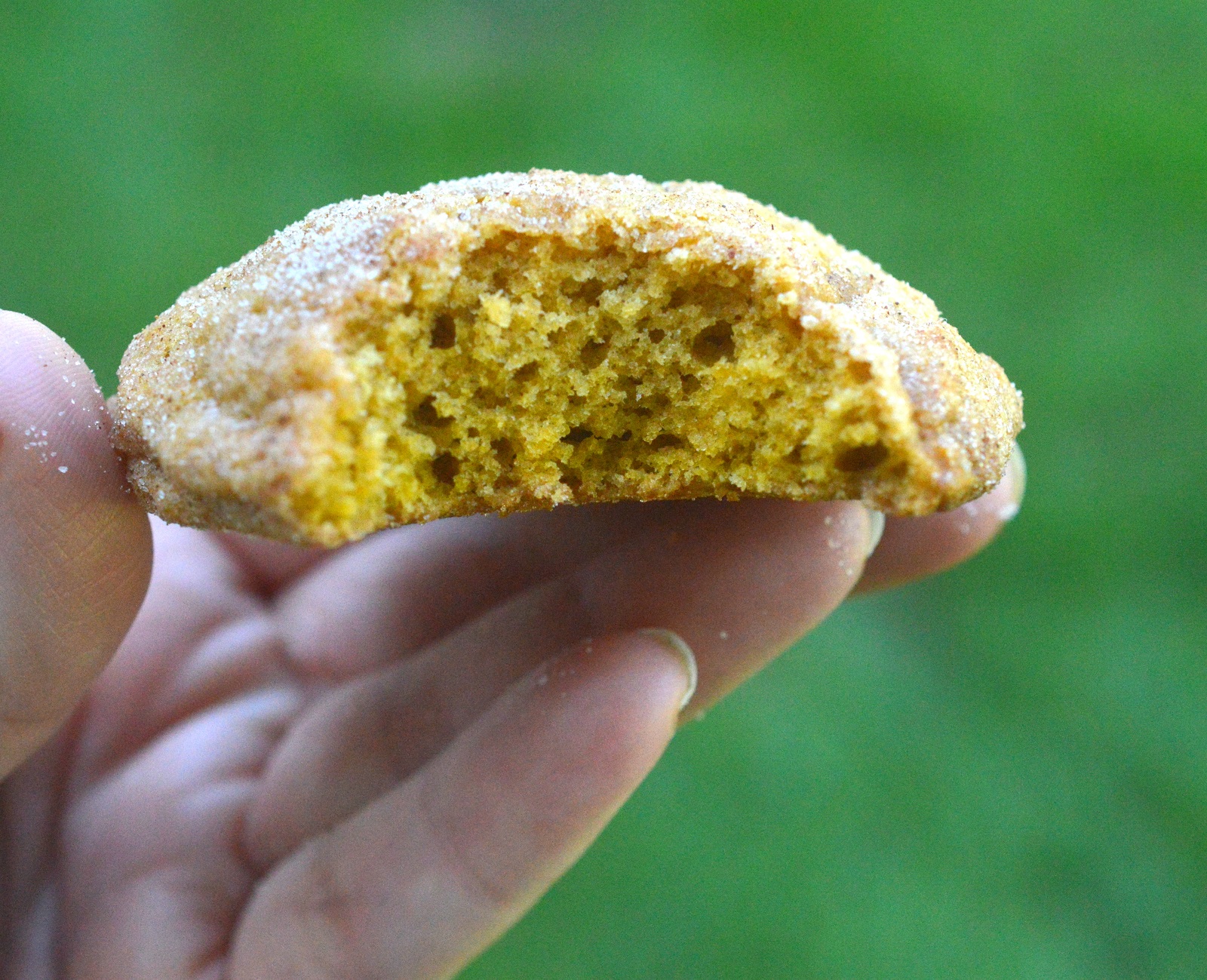 Pumpkin Snickerdoodles 
Pumpkin Cookies