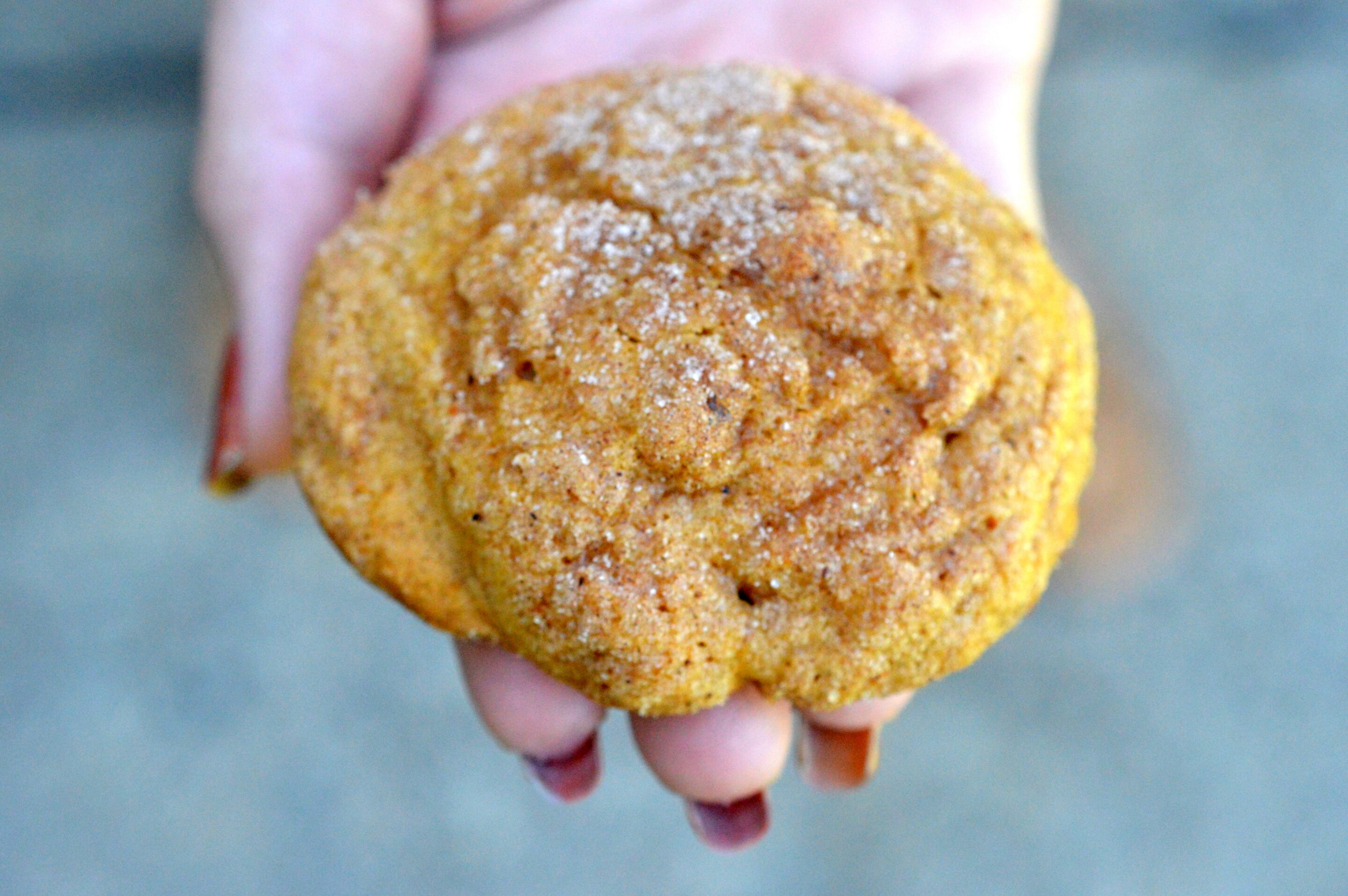 Pumpkin Snickerdoodle Cookies
Pumpkin Snickerdoodles recipe