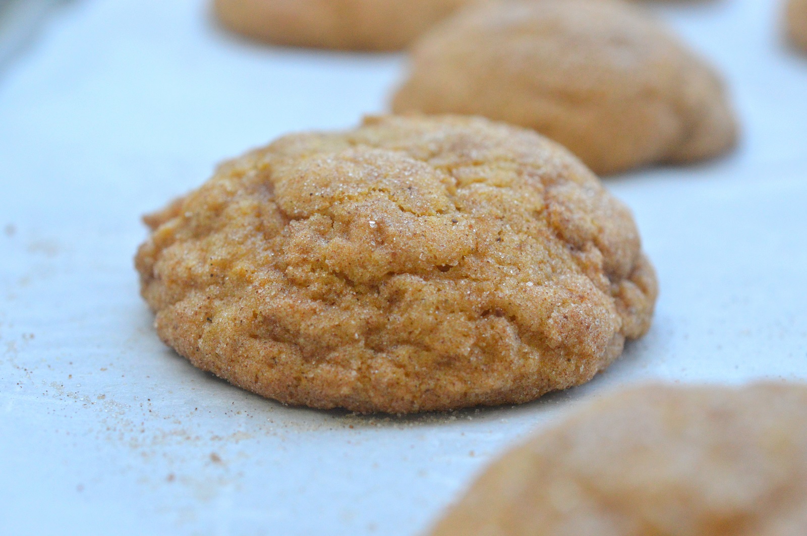 Pumpkin Snickerdoodle Cookies
Pumpkin Snickerdoodles recipe