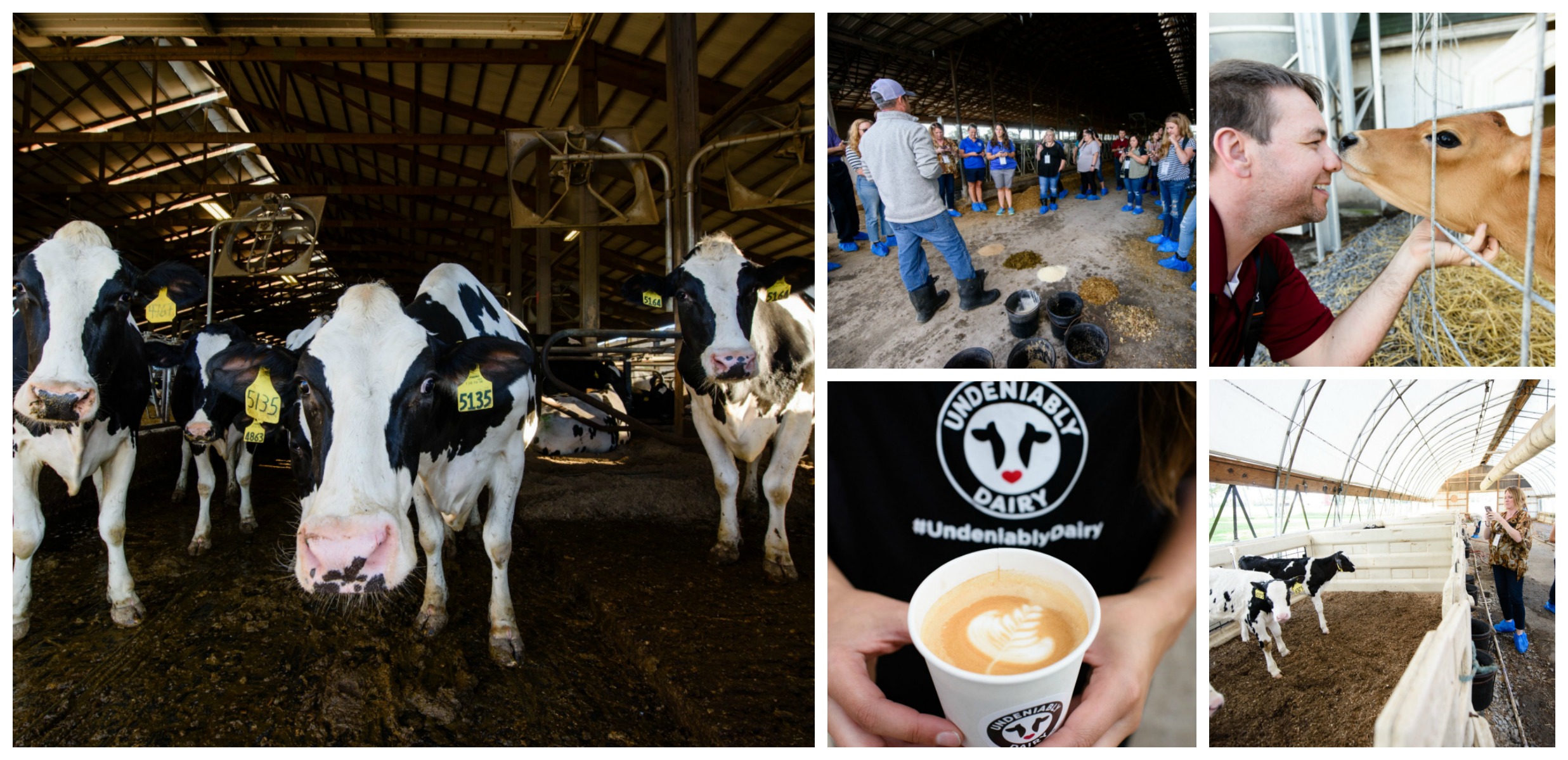 NYDairyTour18 Farm Visits