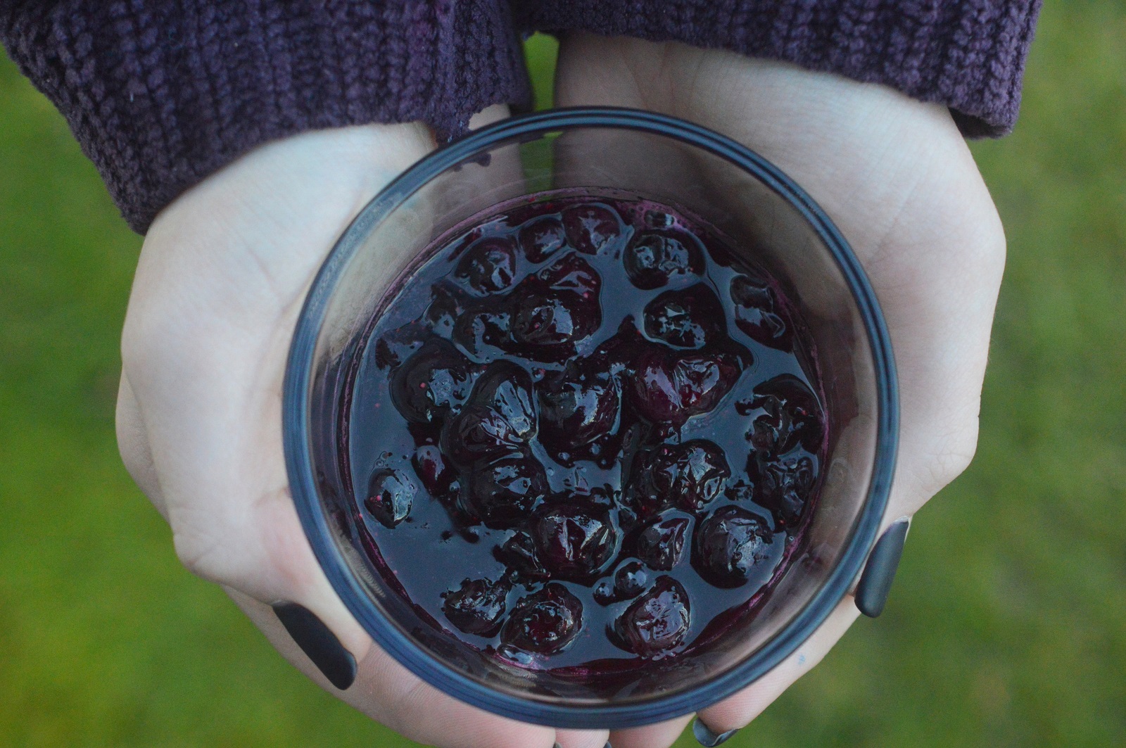 Homemade Blueberry Compote in a bowl