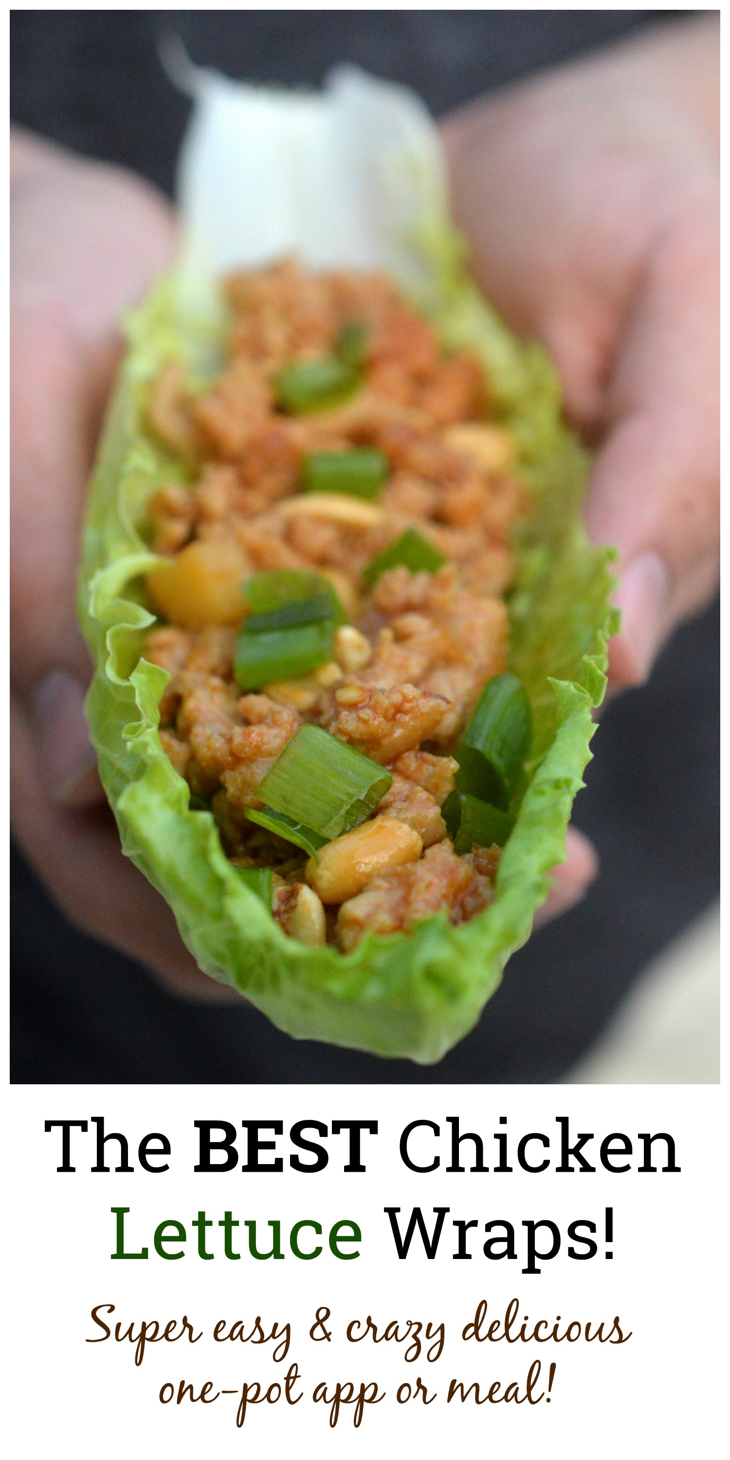 How To Make The BEST Lettuce Wraps - A Delicious One Pot Meal! 