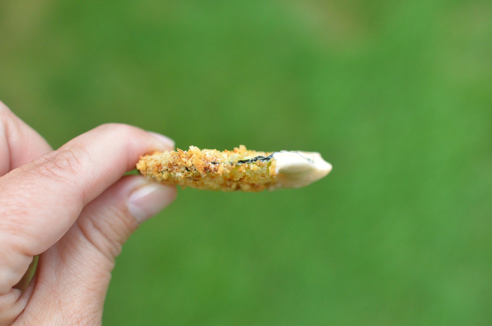 Crispy easy to make Air Fryer Zucchini Chips (make in the oven too)