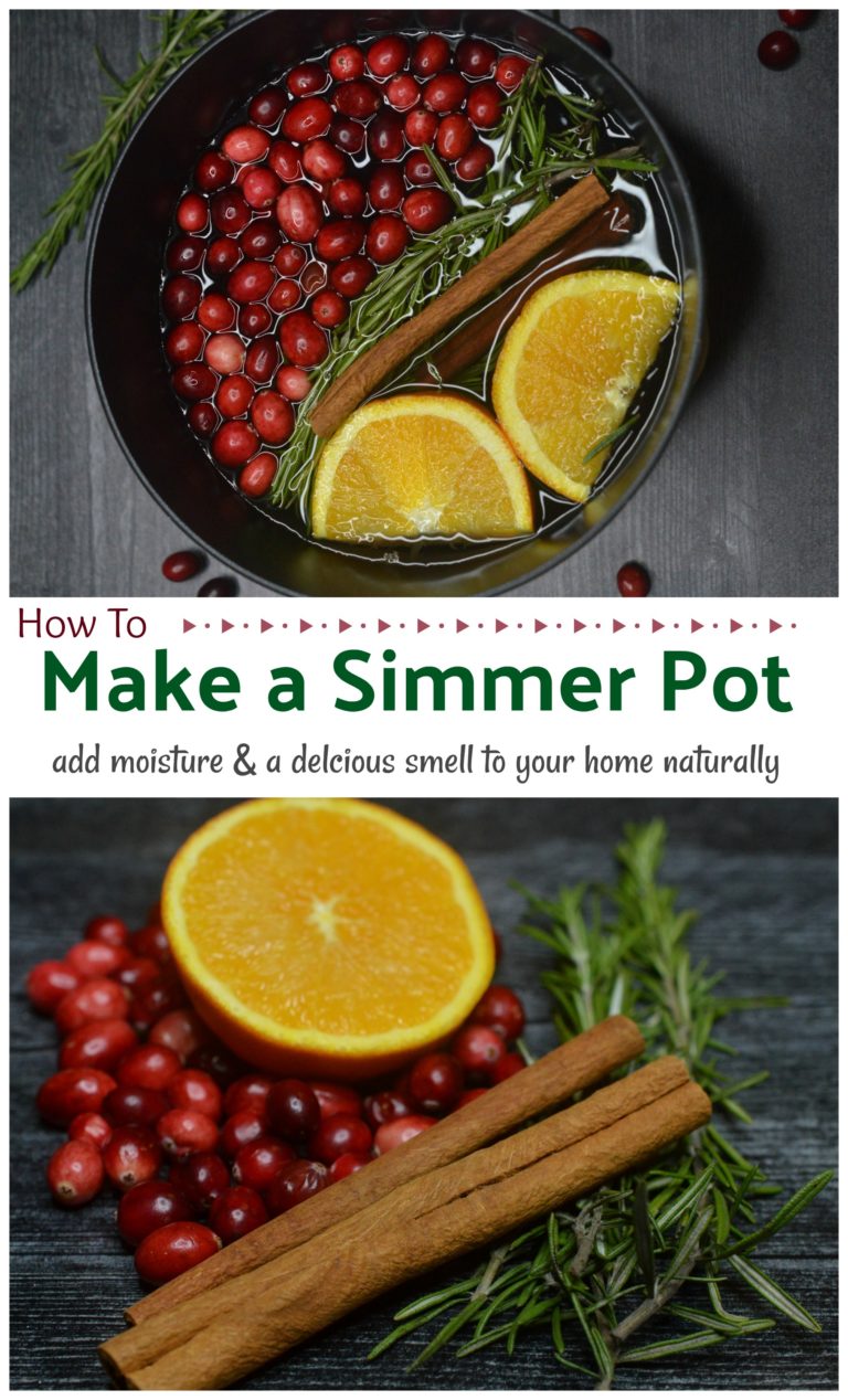 How To Make A Simmer Pot