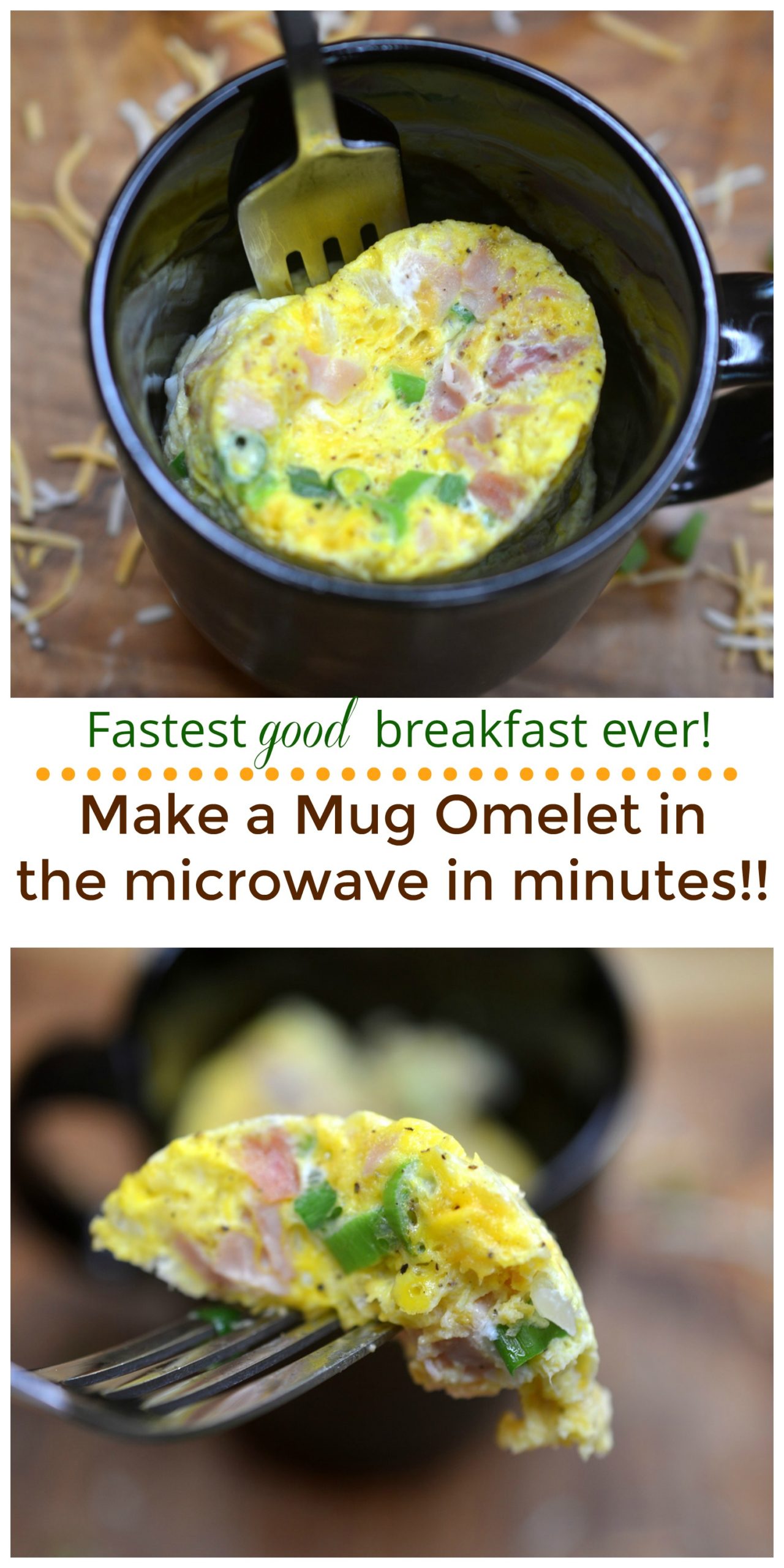 Delicious 5 Minute Microwave Omelet