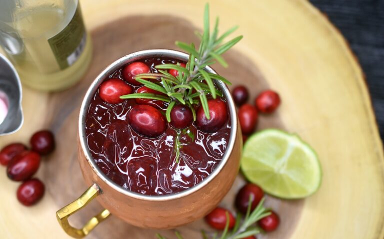 Cranberry Moscow Mule cocktail in copper mug