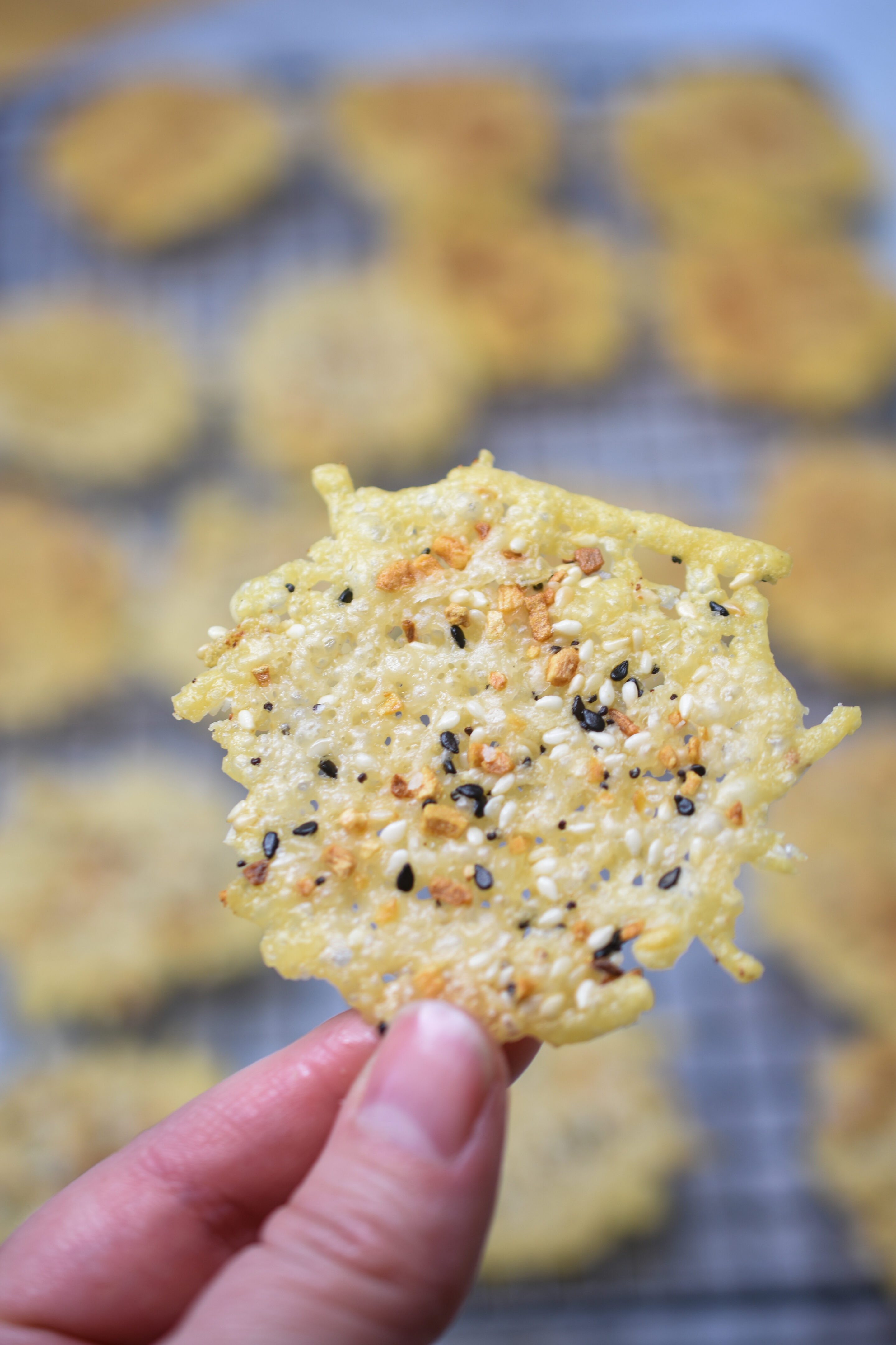 Parmesan Cheese Crisps Homemade one held up to show