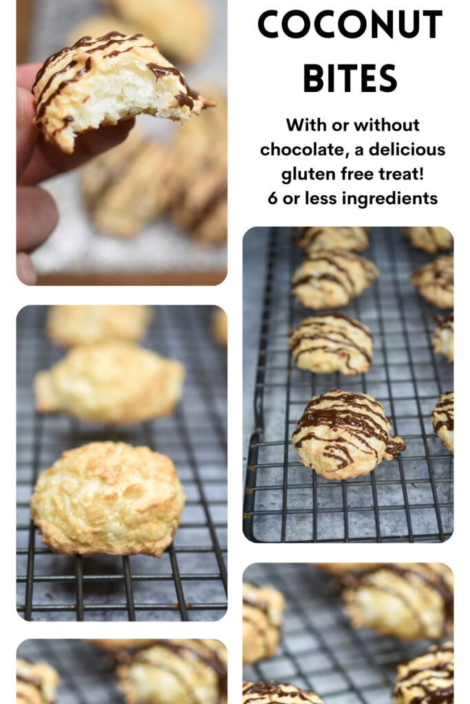 Coconut Bites Recipe