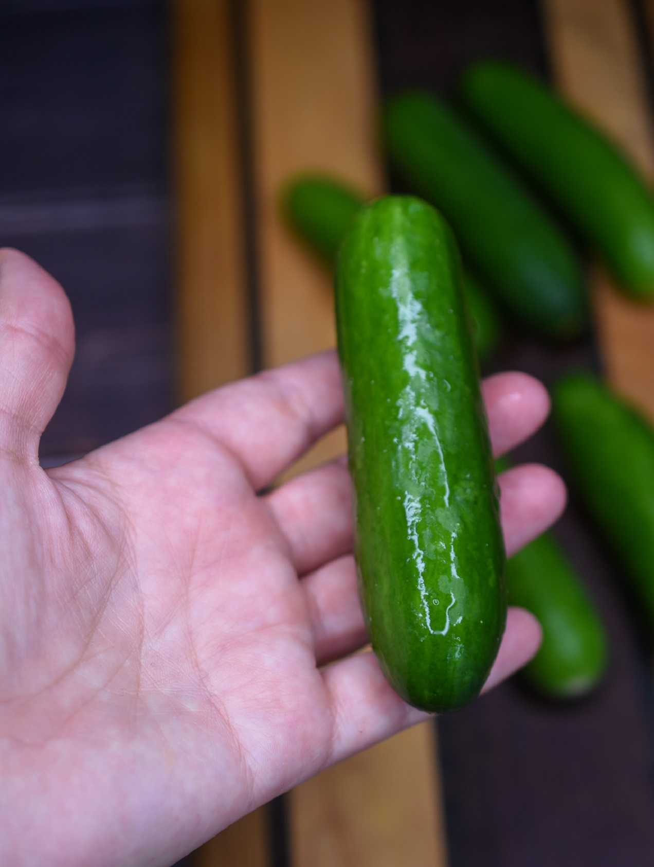 Mini cucumbers for Asian cucumber salad recipe