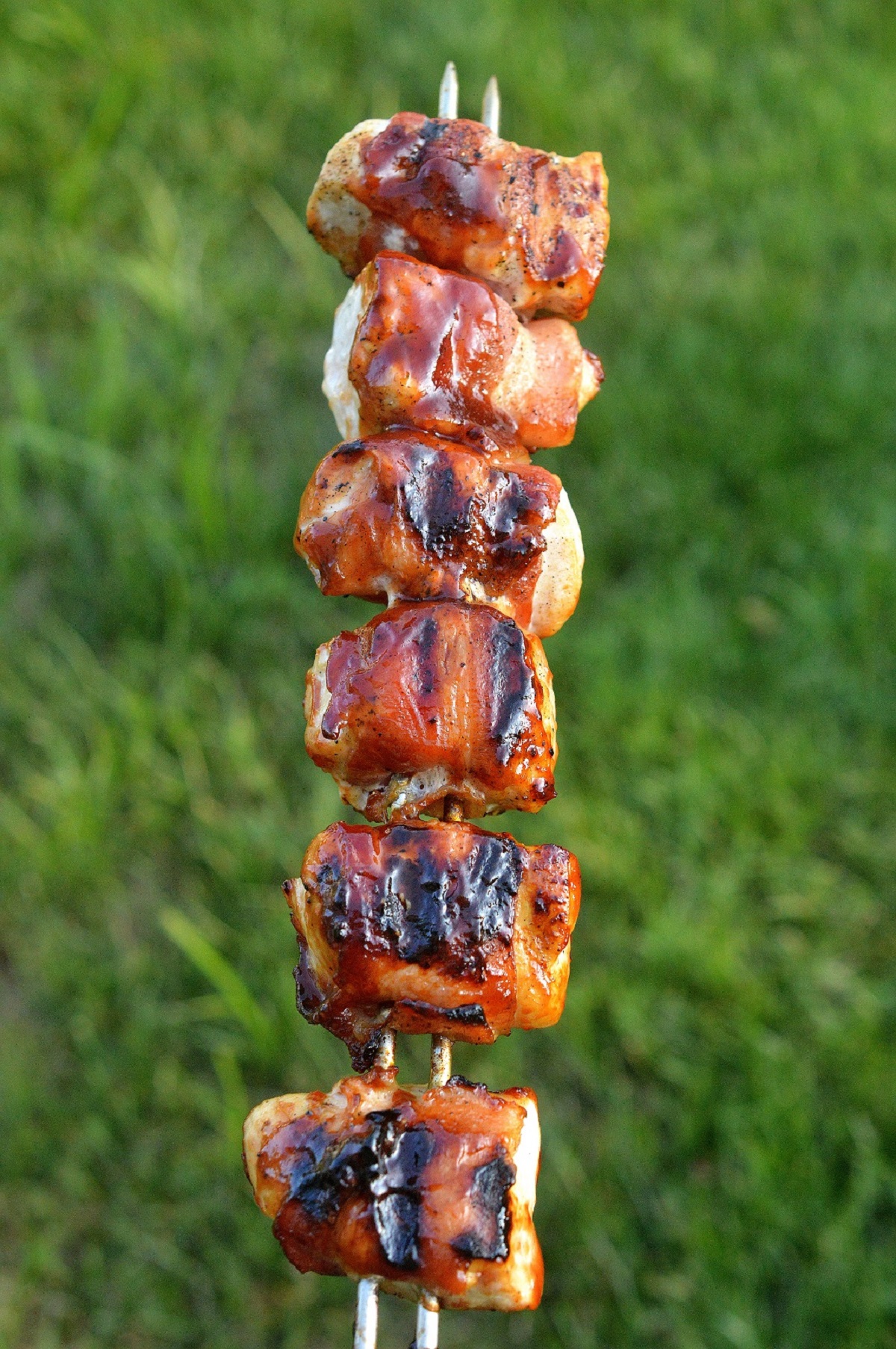BBQ Bacon Wrapped Chicken on skewers. Bacon Wrapped Chicken Tenders on a metal skewer brushed with BBQ sauce.