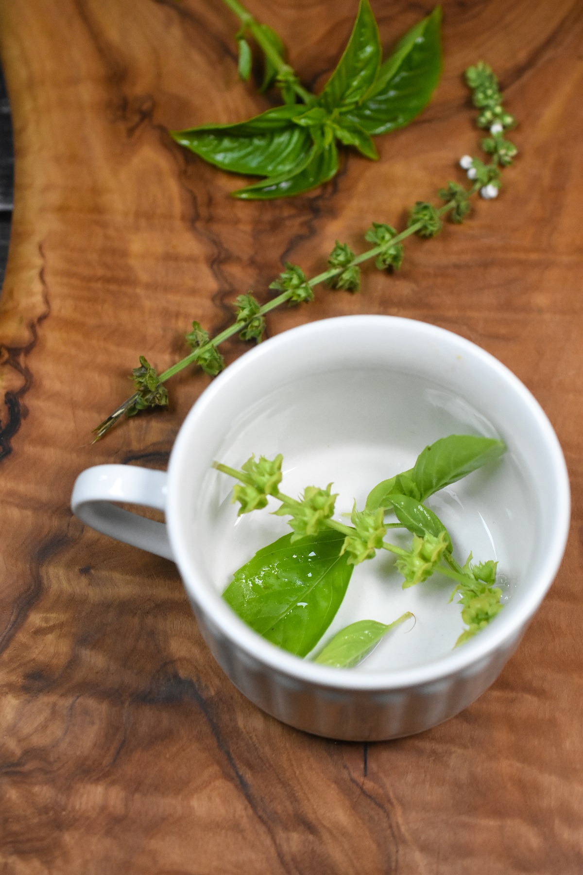 ivory coffee mug with fresh basil in it.