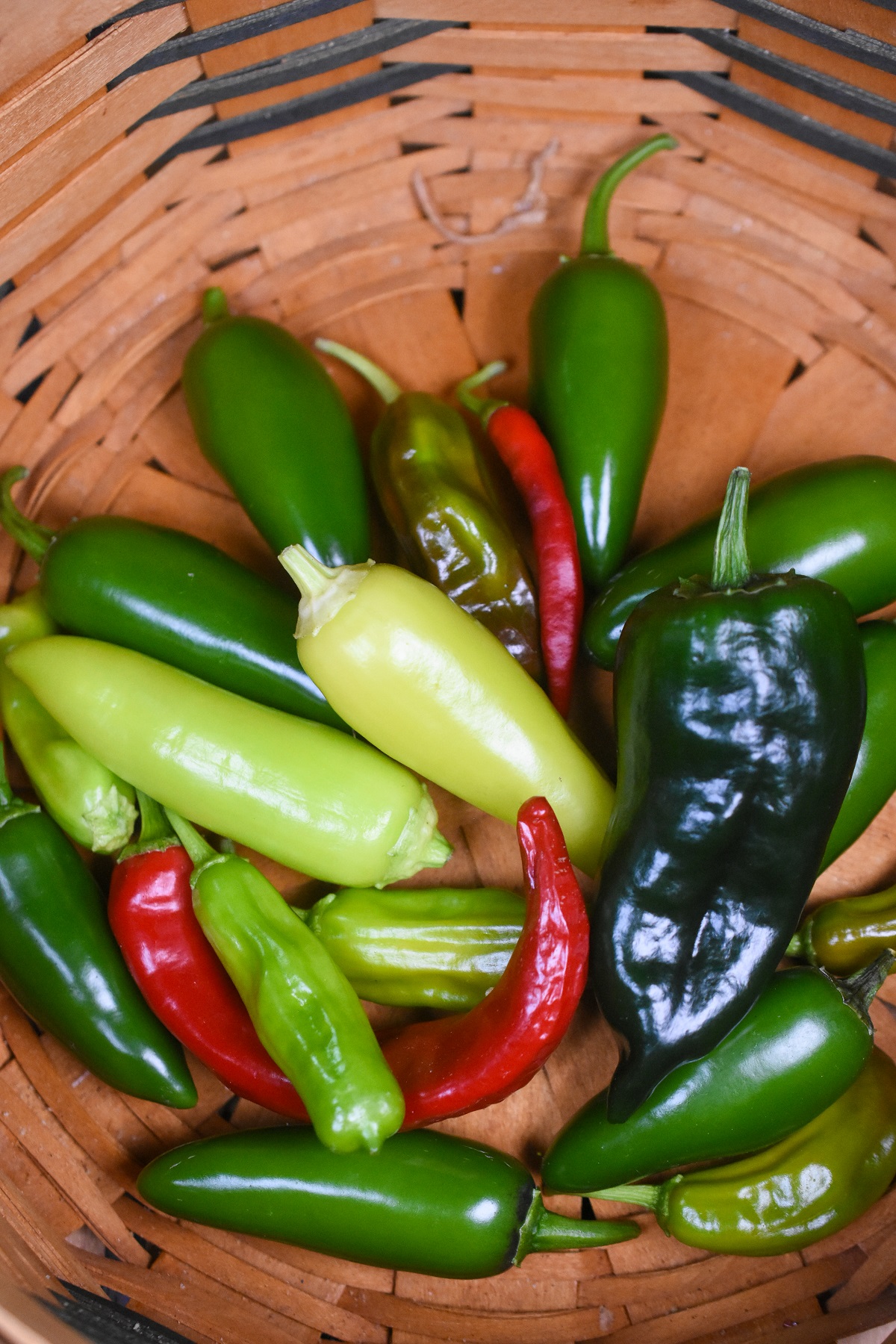 a variety of garden peppers shown in a wooden basket