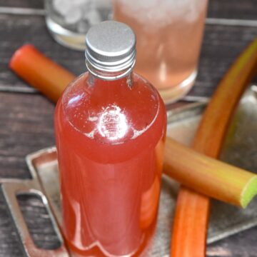 Homemade Rhubarb Syrup in a glass bottle alongside two stalks of fresh rhubarb with Rhubarb soda in background